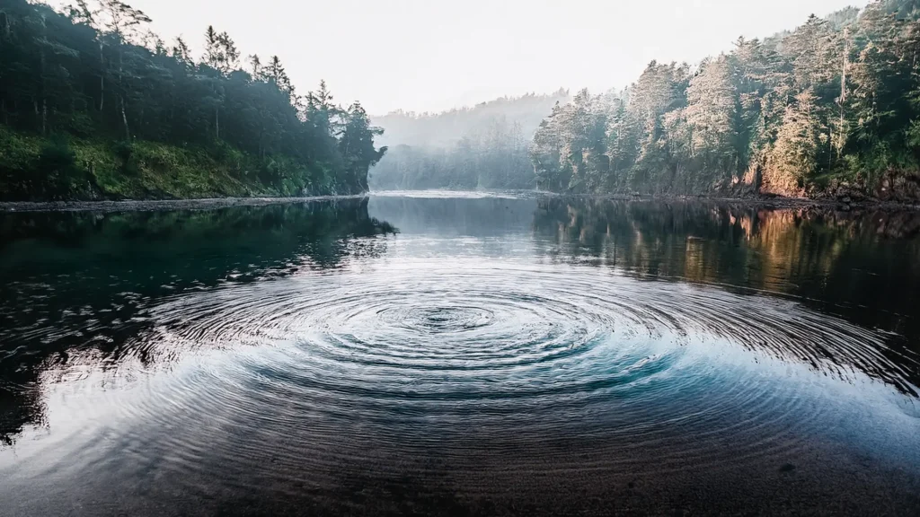 img-kręgi na wodzie-coaching-ifs img-kręgi na wodzie-coaching-ifs