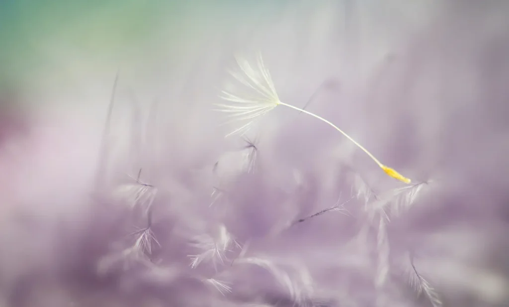 dmuchawiec-ifs-teoria-poliwagalna