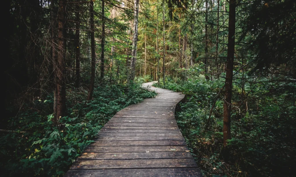 img-path