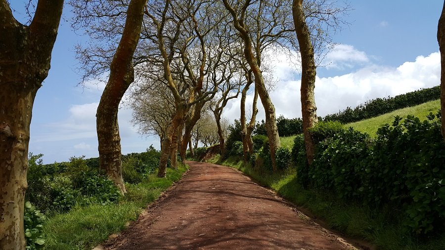 Praca z częściami powrót do empatii